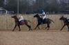 Oxford Polo 2022_12_11 0051